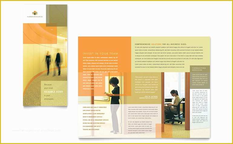 Publisher Tri Fold Brochure Templates Free Of Hr Consulting Tri Fold Brochure Template Word & Publisher