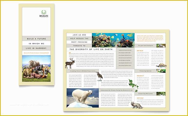 Publisher Tri Fold Brochure Templates Free Of Nature &amp; Wildlife Conservation Tri Fold Brochure Template