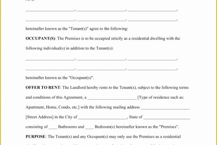 Rental Agreement Template Free Of Blank Lease Agreement Example Mughals