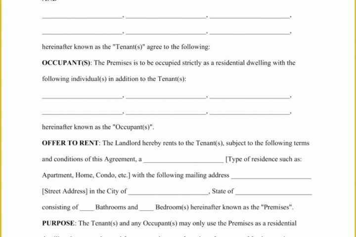 Rental Agreement Template Free Of Blank Lease Agreement Example Mughals
