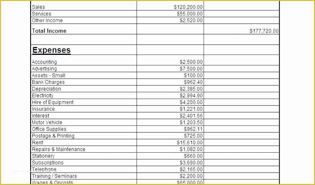 Restaurant Profit and Loss Statement Excel Template Free Of Profit and Loss Statement Excel Excel Statement Excel