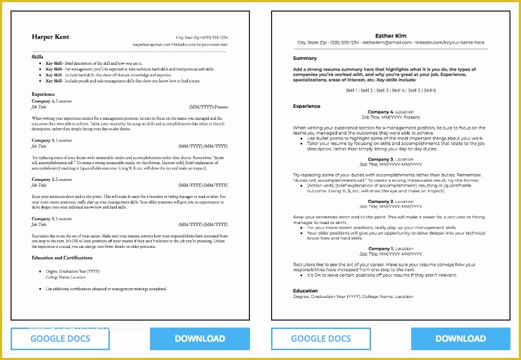 Resume Templates Google Docs Free Of Floridaframeandart