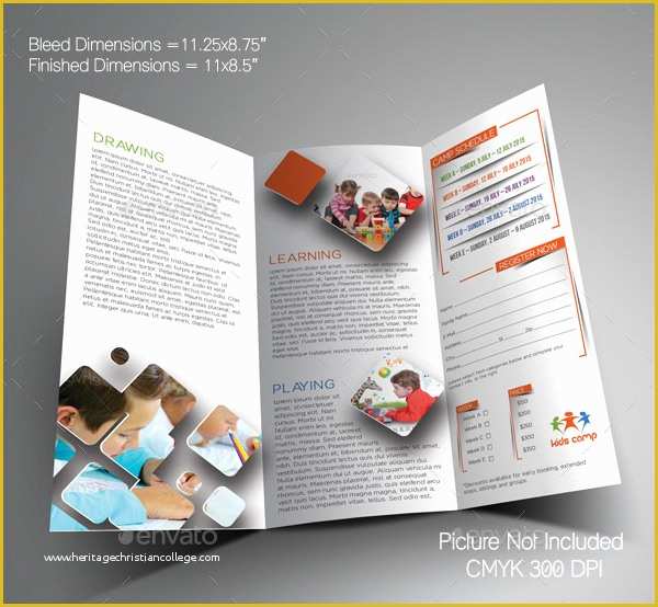 School Photo Templates Free Of 20 School Brochures Template