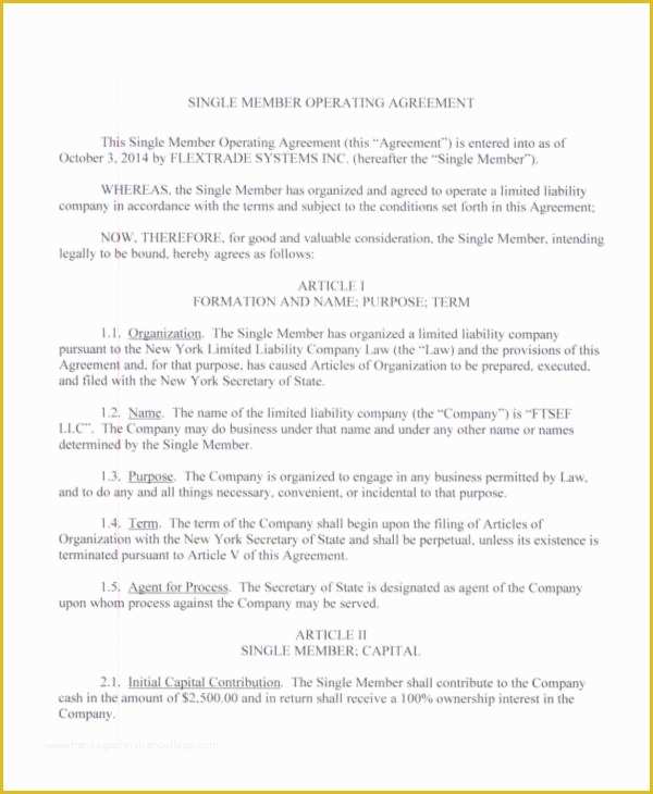 Single Member Llc Operating Agreement Template Free Of 58 Printable Agreement Samples