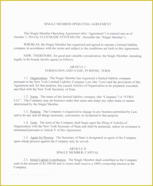 Single Member Llc Operating Agreement Template Free Of 58 Printable Agreement Samples