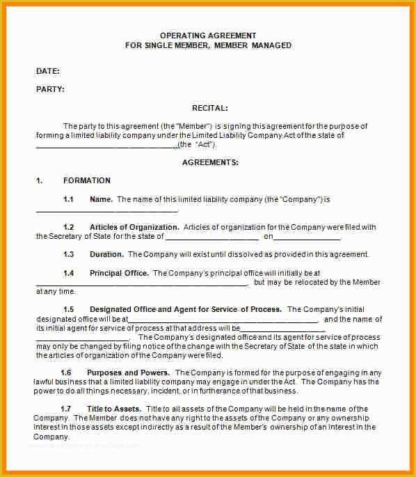 Single Member Llc Operating Agreement Template Free Of 7 Sample Operating Agreement