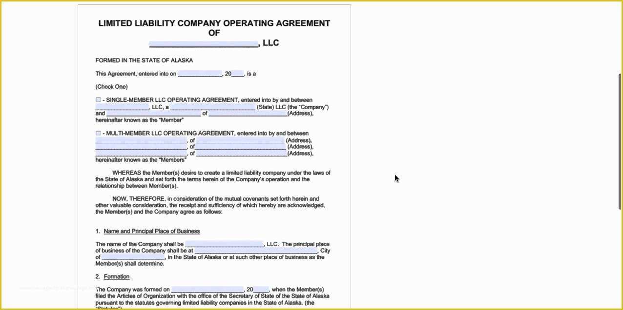 Single Member Llc Operating Agreement Template Free Of Part 4 Sample Book Cover Template
