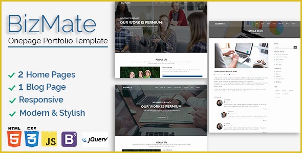 Single Page Portfolio Template Free Download Of Bizmate E Page Portfolio Template Nulled Download