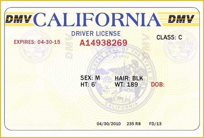 State Id Templates Download Free Of 8 Blank Drivers License Template Psd north