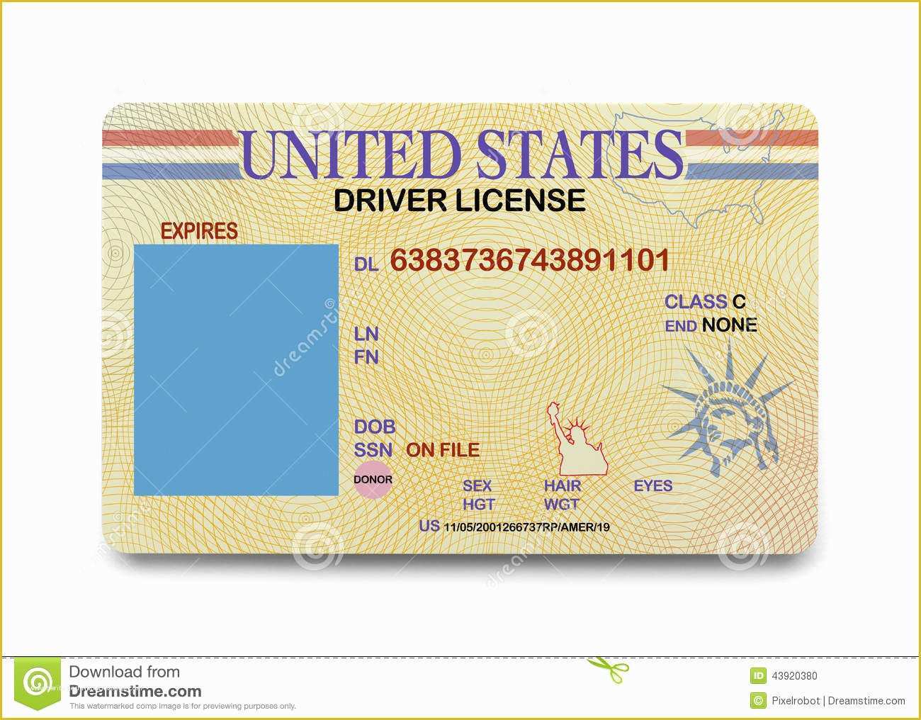 california state id psd template