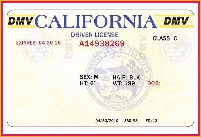 State Id Templates Download Free Of Blank Drivers License Template