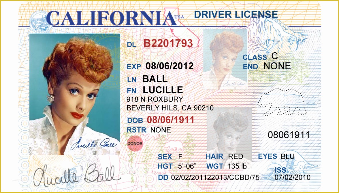 State Id Templates Download Free Of California Driver S License Editable Psd Template Download