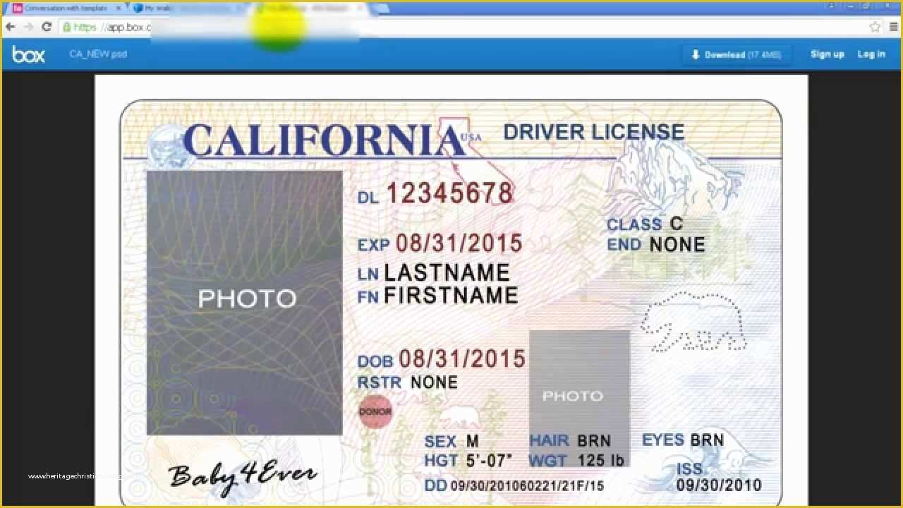 State Id Templates Download Free Of California Drivers License Template
