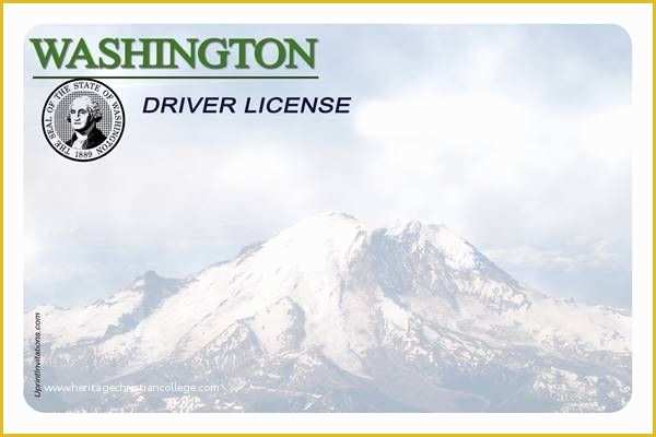 State Id Templates Download Free Of Drivers License Printable Template