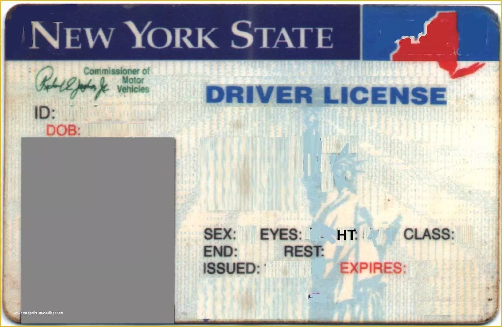 State Id Templates Download Free Of Drivers License Template Psd Templates Collections