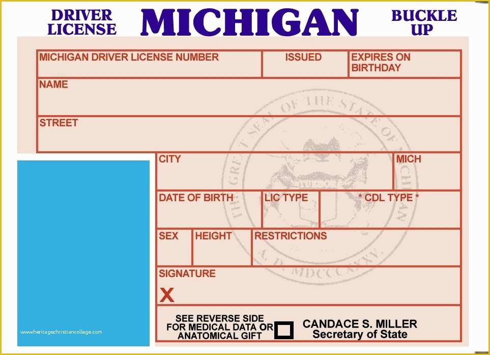 State Id Templates Download Free Of Florida Drivers License Template Download Nixnational