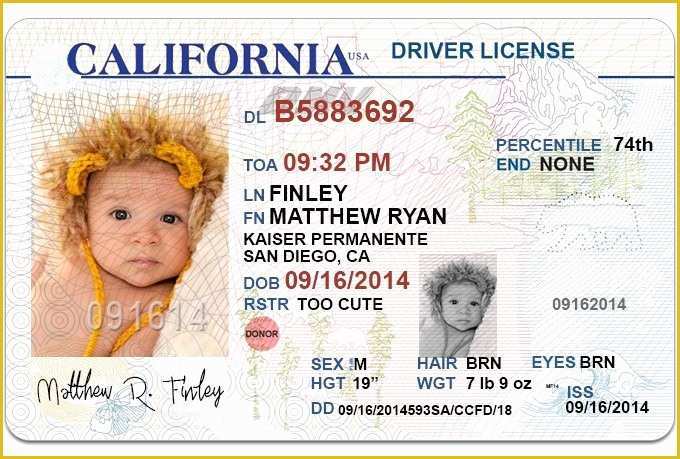 Florida Drivers License Template Wescustomer