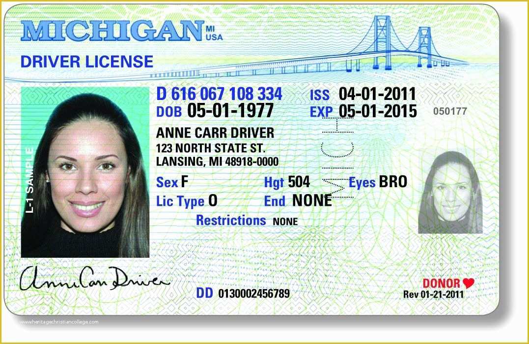 State Id Templates Download Free Of New Michigan Driver S License Expected to Increase organ