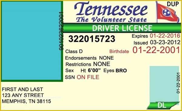 State Id Templates Download Free Of Tennessee Drivers License Editable Psd Template Download