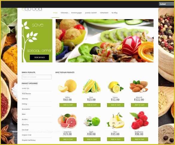 Store Template Free Of 29 Grocery Store Website themes & Templates