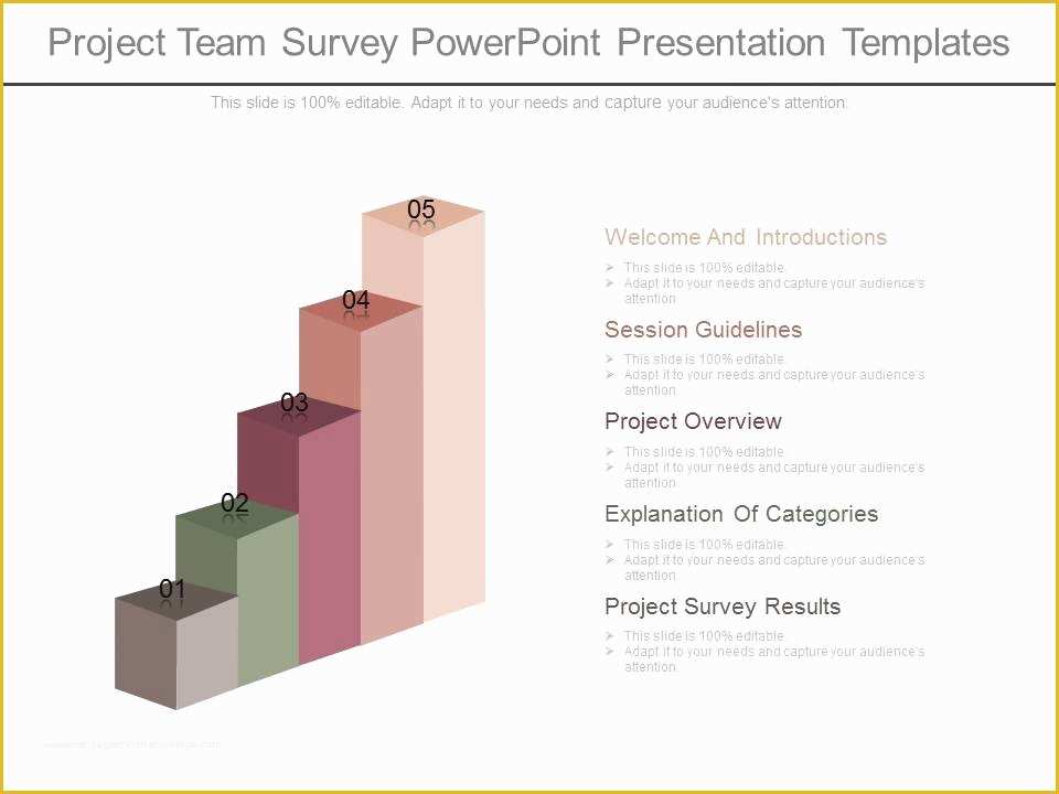 Survey Powerpoint Template Free Download Of App Project Team Survey Powerpoint Presentation Templates