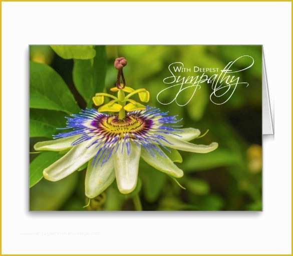 Sympathy Card Templates Free Download Of 10 Sympathy Card Templates Psd Vector Eps