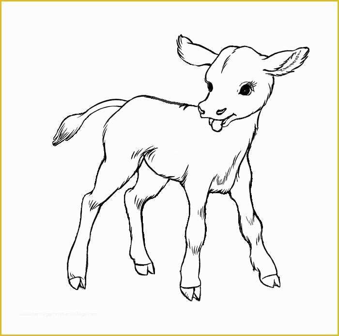 Templates for Pages Free Download Of 70 Animal Colouring Pages Free Download & Print