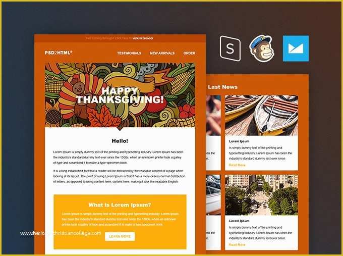Thanksgiving Newsletter Template Free Of Free Email Newsletter Templates Psd Css Author