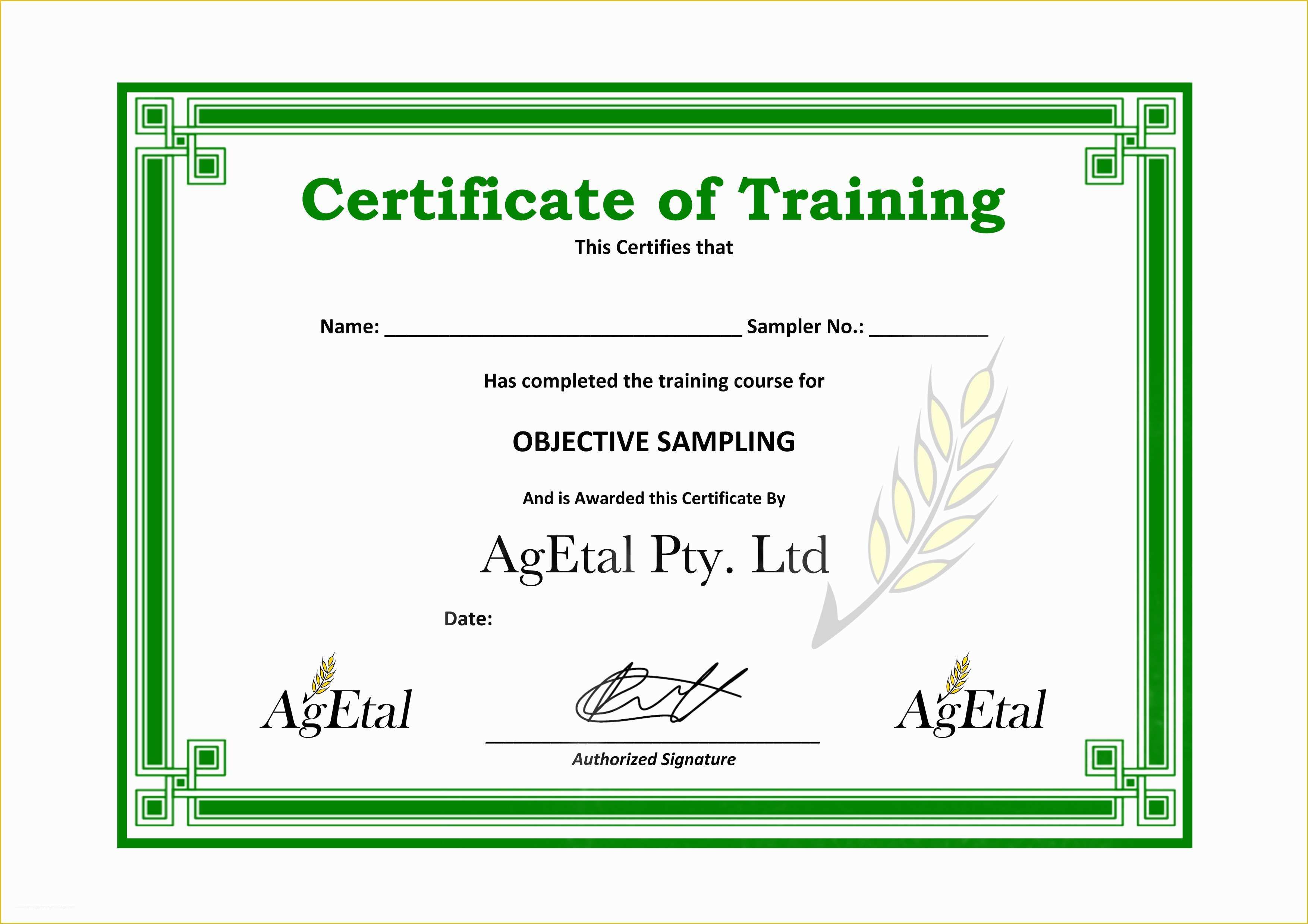 Training Certificate Template Free Of Training Certificate Template Word Templates Data