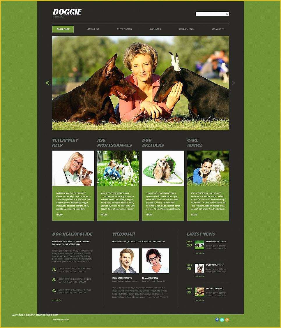 Training Website Templates Free Download Of Trainer Certificate Free Dog Training Templates Word