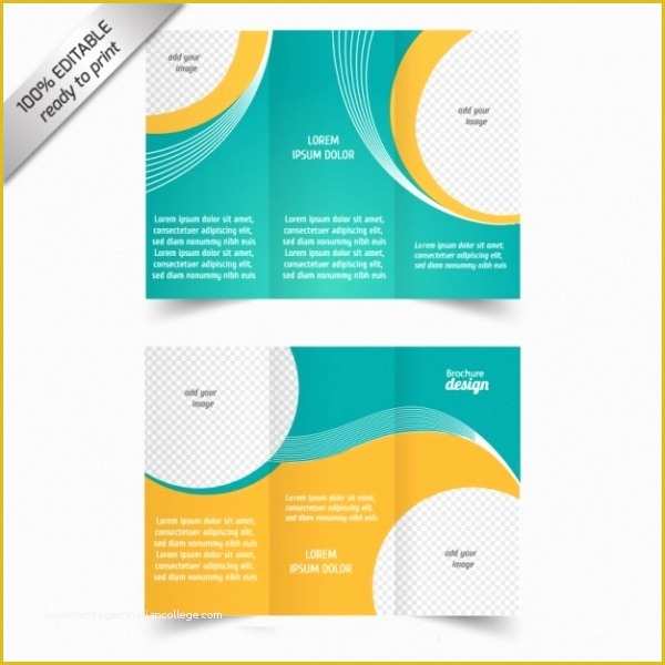 Tri Fold Template Illustrator Free Of 21 Free Brochure Templates Psd Ai Illustrator Download