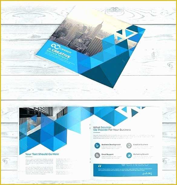 Tri Fold Template Illustrator Free Of Adobe Illustrator Brochure Templates Free Download