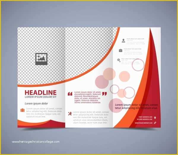 Tri Fold Template Illustrator Free Of Adobe Illustrator Tri Fold Brochure Template Free Adobe