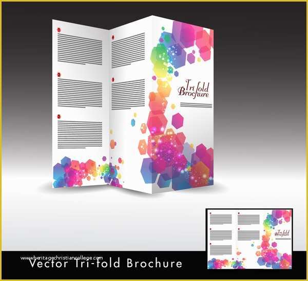 Tri Fold Template Illustrator Free Of Adobe Illustrator Tri Fold Brochure Template Free Trifold