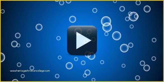 Video Animation Templates Free Download Of Bubbles Animation Video Background Free Download