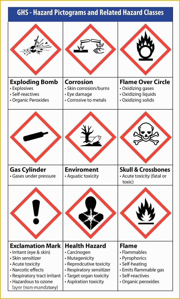 Warning Label Template Free Of 27 Best Ghs Chemical Labeling Images On Pinterest