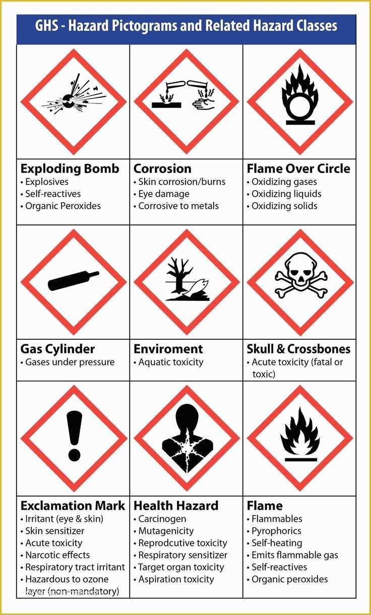 Free Printable Chemical Labels - Printable World Holiday