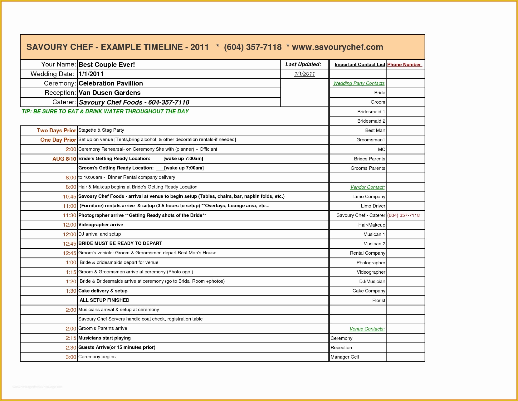 Wedding Planner Template Free Of Wedding Planning Timeline Template