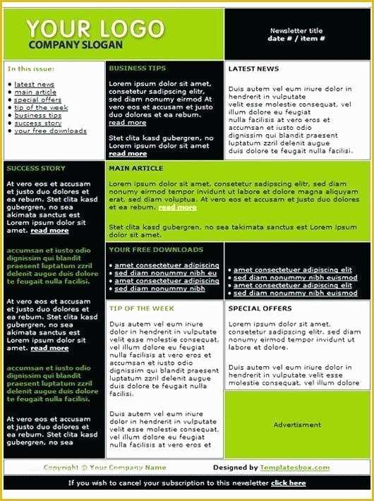 2 Page Newsletter Template Free Of Two Page Newsletter Template E Word Free Templates