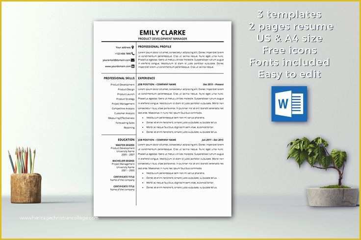 2 Page Resume Templates Free Download Of 25 Best Ideas About Professional Reference Letter On