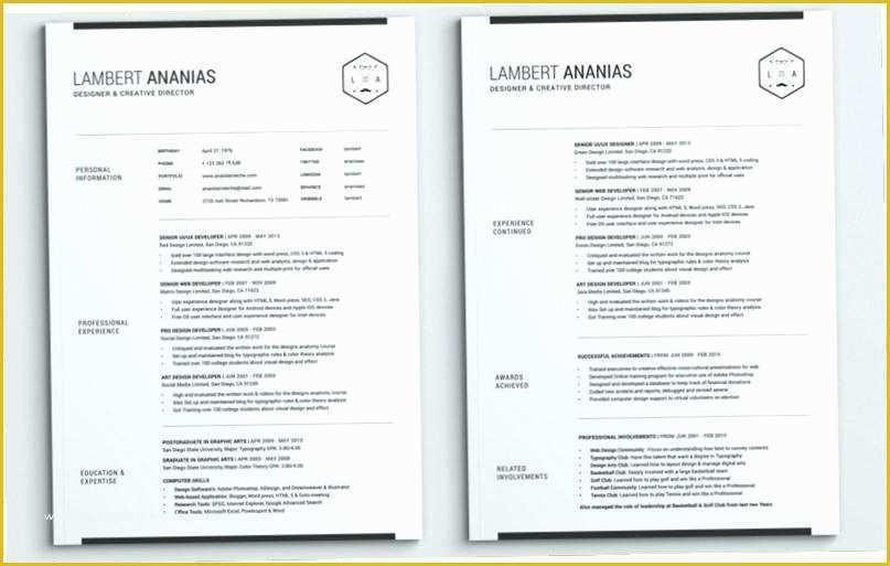 2 Page Resume Templates Free Download Of Two Page Resume Template 2 Page Resume format Sample