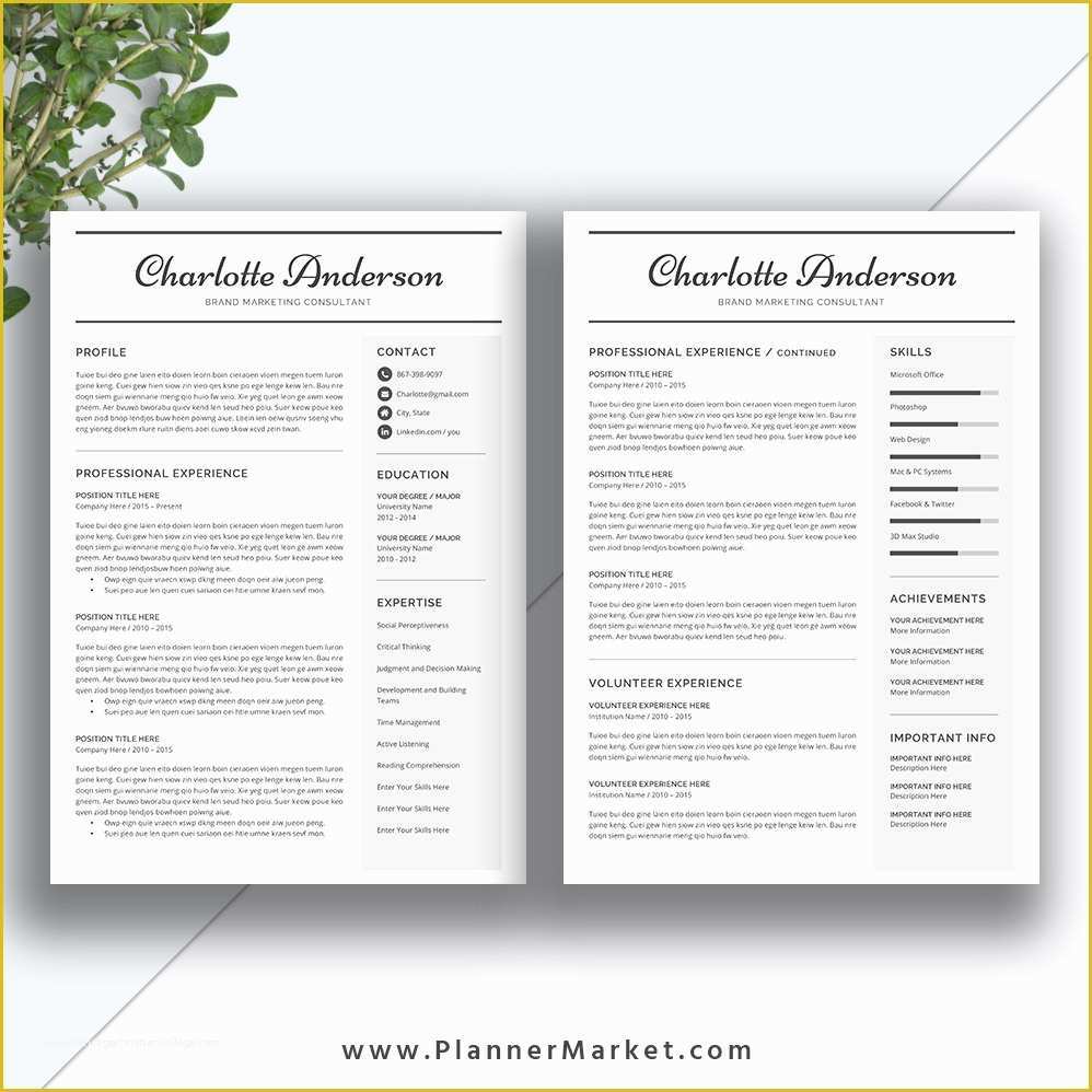 2 Page Resume Templates Free Download Of Unique Resume Template 3 Page Cv Template Word