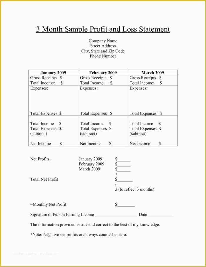 3 Month Profit and Loss Statement Template Free Of 12 Month Profit and Loss Template Templates Resume