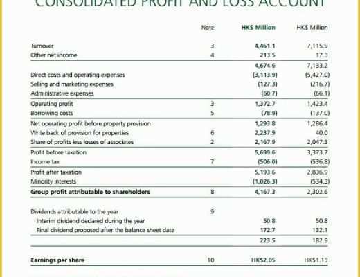 3 Month Profit and Loss Statement Template Free Of 3 Year Profit and Loss Template