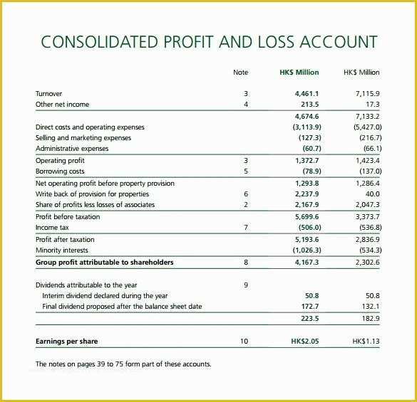 45 3 Month Profit and Loss Statement Template Free