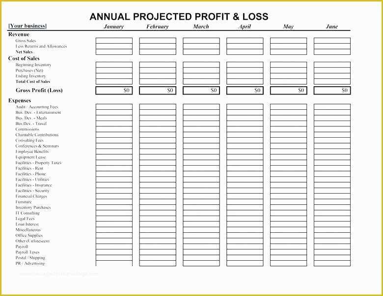 3 Month Profit and Loss Statement Template Free Of Monthly Profit and Loss Statement Template Small Business