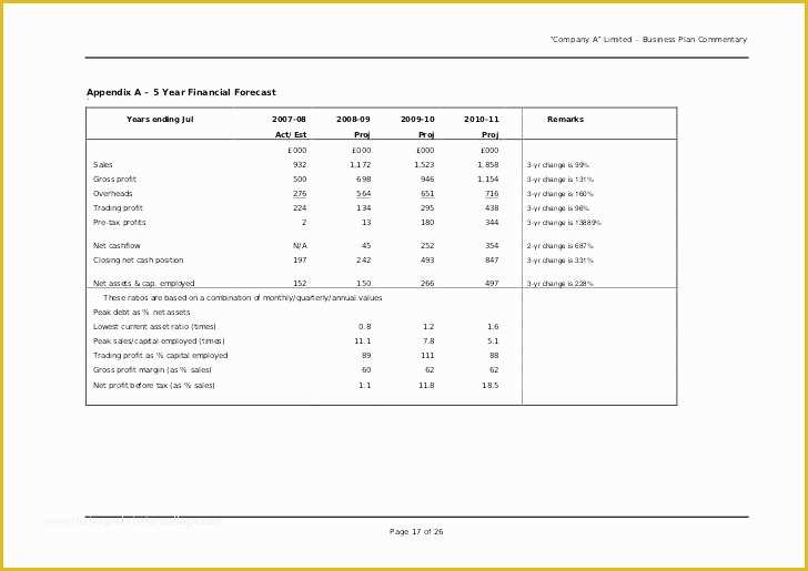 3 Year Business Plan Template Free Of 3 5 Year Business Plan Template 3 Year Financial