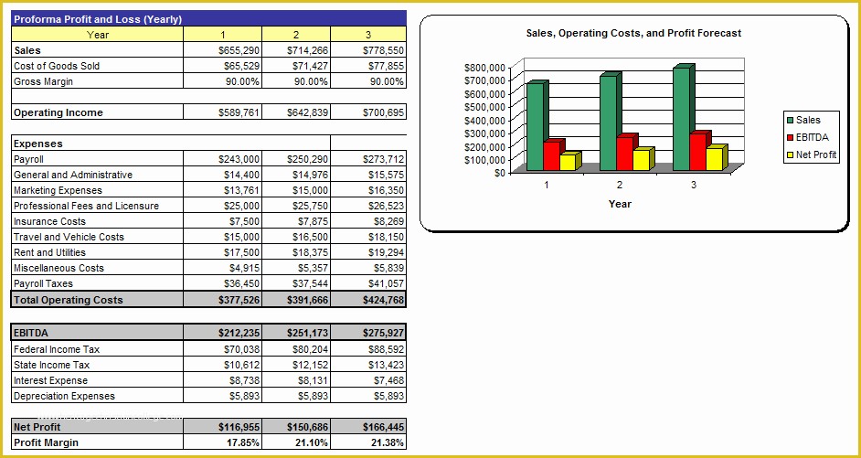 3 Year Business Plan Template Free Of 3 Year Financial Plan Template Table1 Templates Station