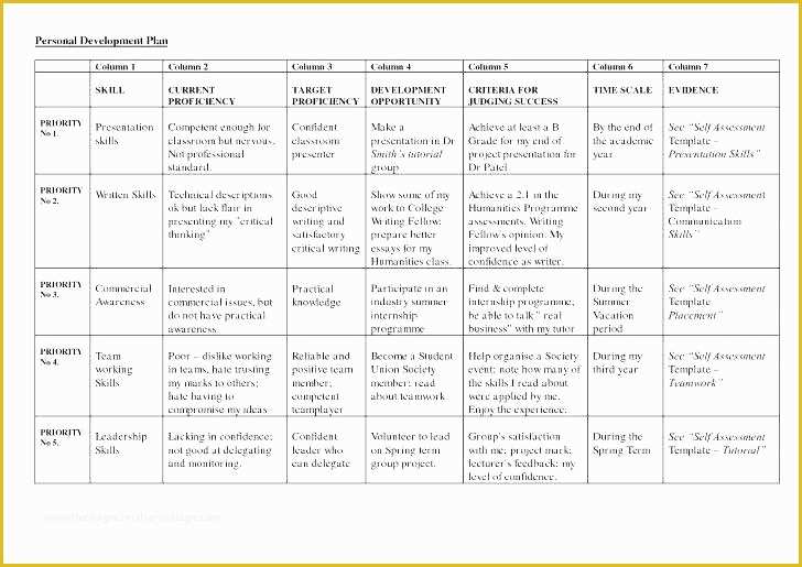 3 Year Business Plan Template Free Of Strategic Plan Template 5 Year Business 3 Free Excel