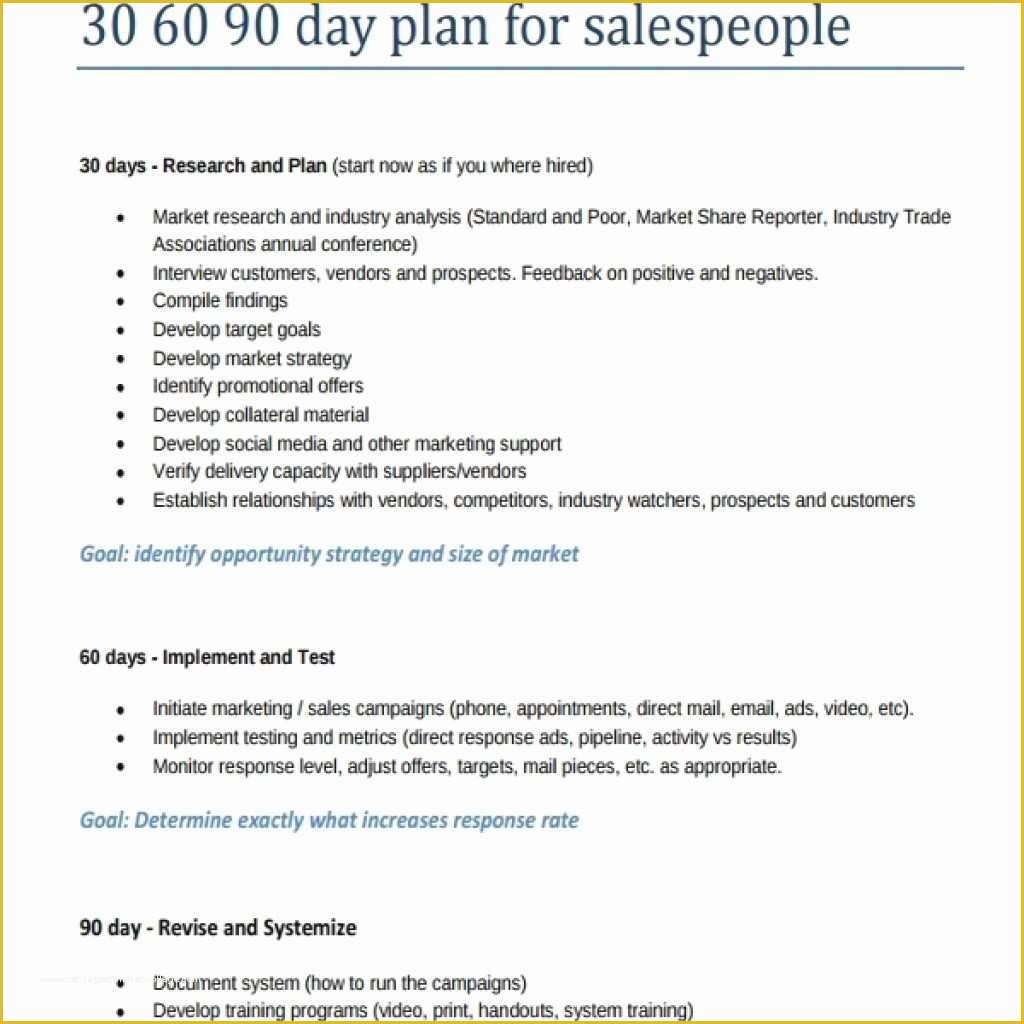 30 60 90 Day Sales Plan Template Free Sample Of 30 60 90 Day Business Plan for Sales Managers Template